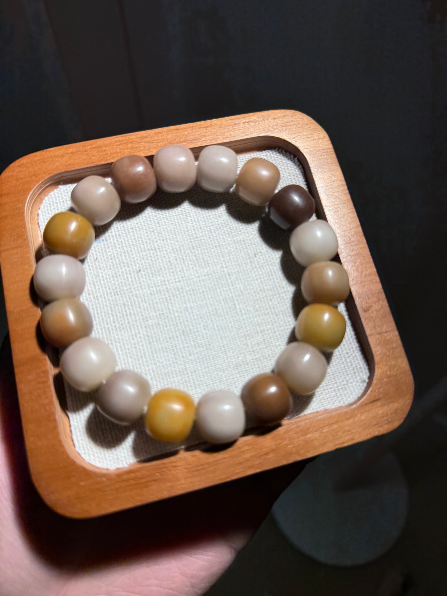 🌾 Morning Stone — Earth-Toned Bodhi Root Bracelet (Hand-Polished Dry Finish, 14mm)