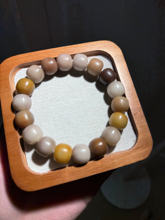 🌾 Morning Stone — Earth-Toned Bodhi Root Bracelet (Hand-Polished Dry Finish, 14mm)