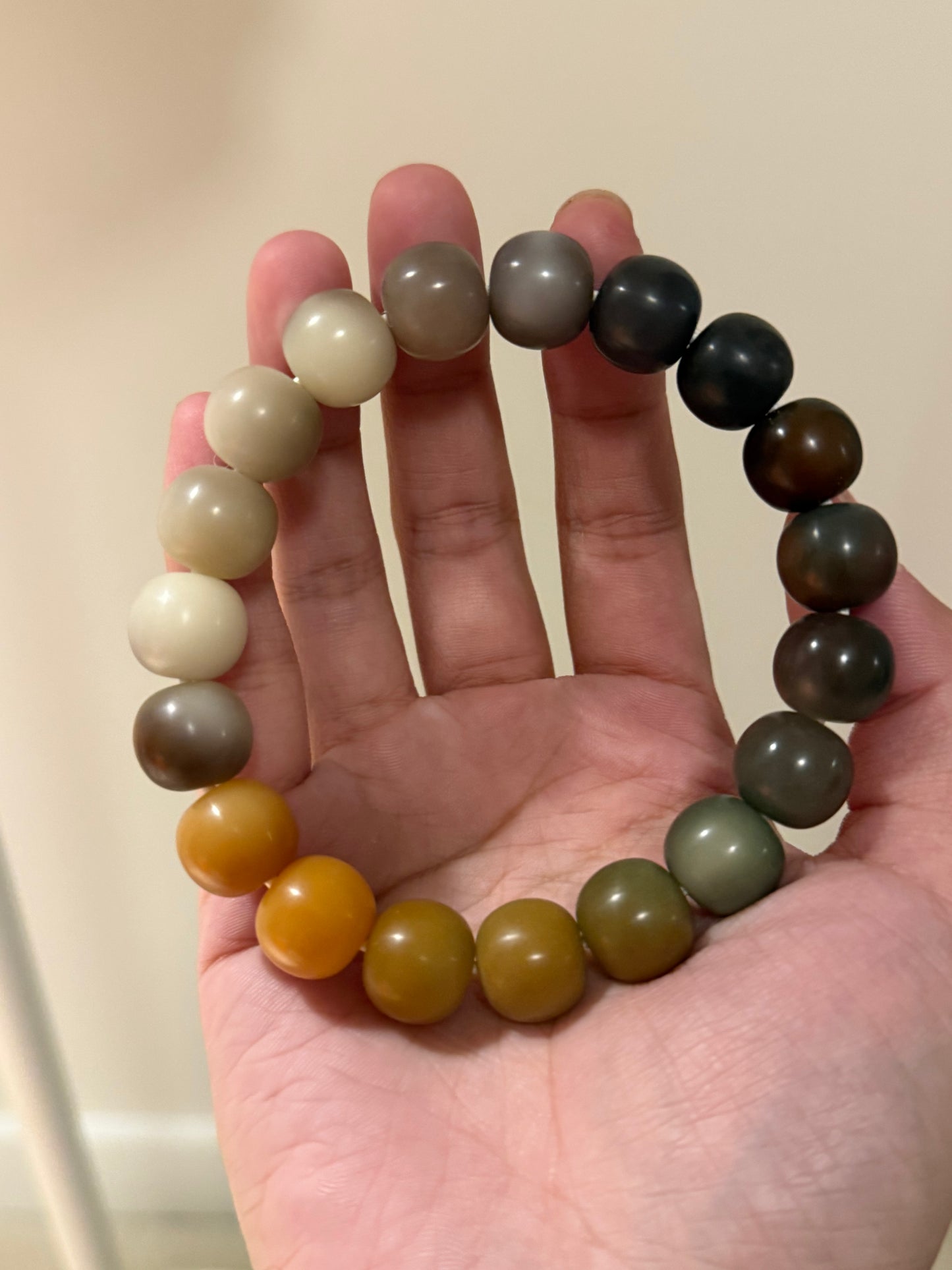 ๐ Forest Ember โ Gradient Bodhi Root Bracelet (Hand-Polished Dry Finish, 14mm)