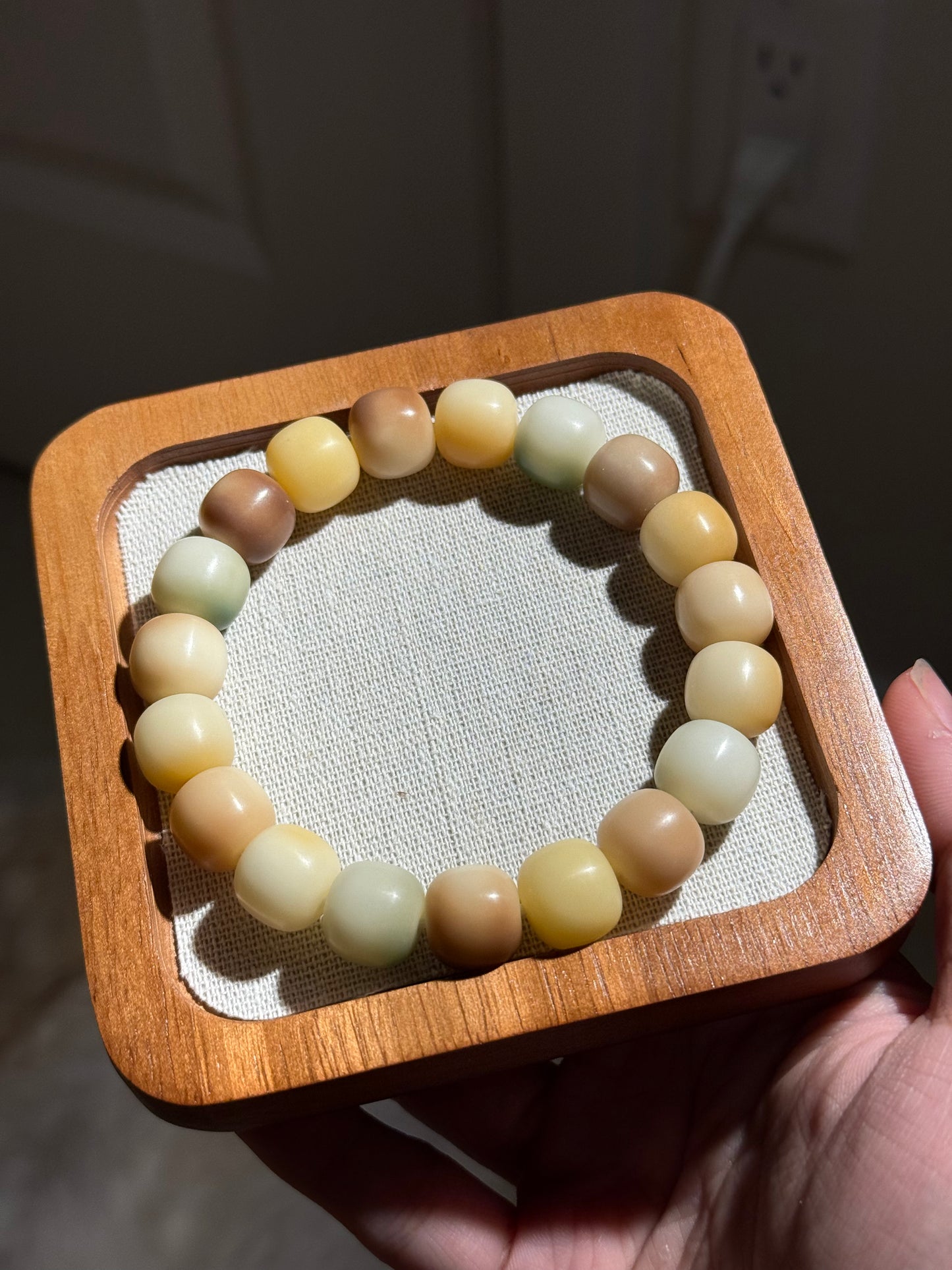 ๐ Mist Harmony โ Multitone Bodhi Root Bracelet (Hand-Polished Dry Finish, 13mm)