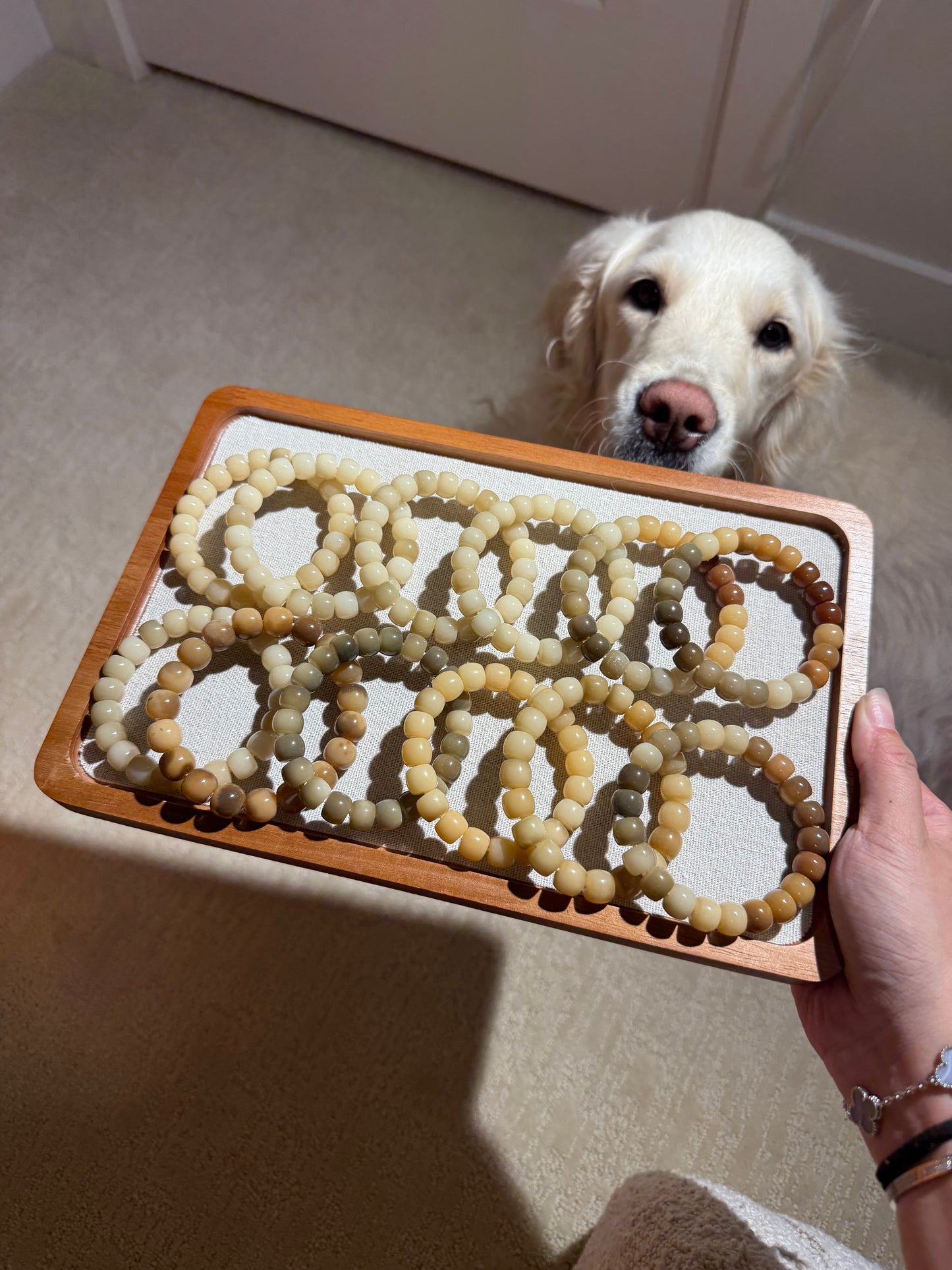 ๐ Honey Drift
Mixed-Color Bodhi Root Bracelet (Machine Water-Polished, Random Batch)