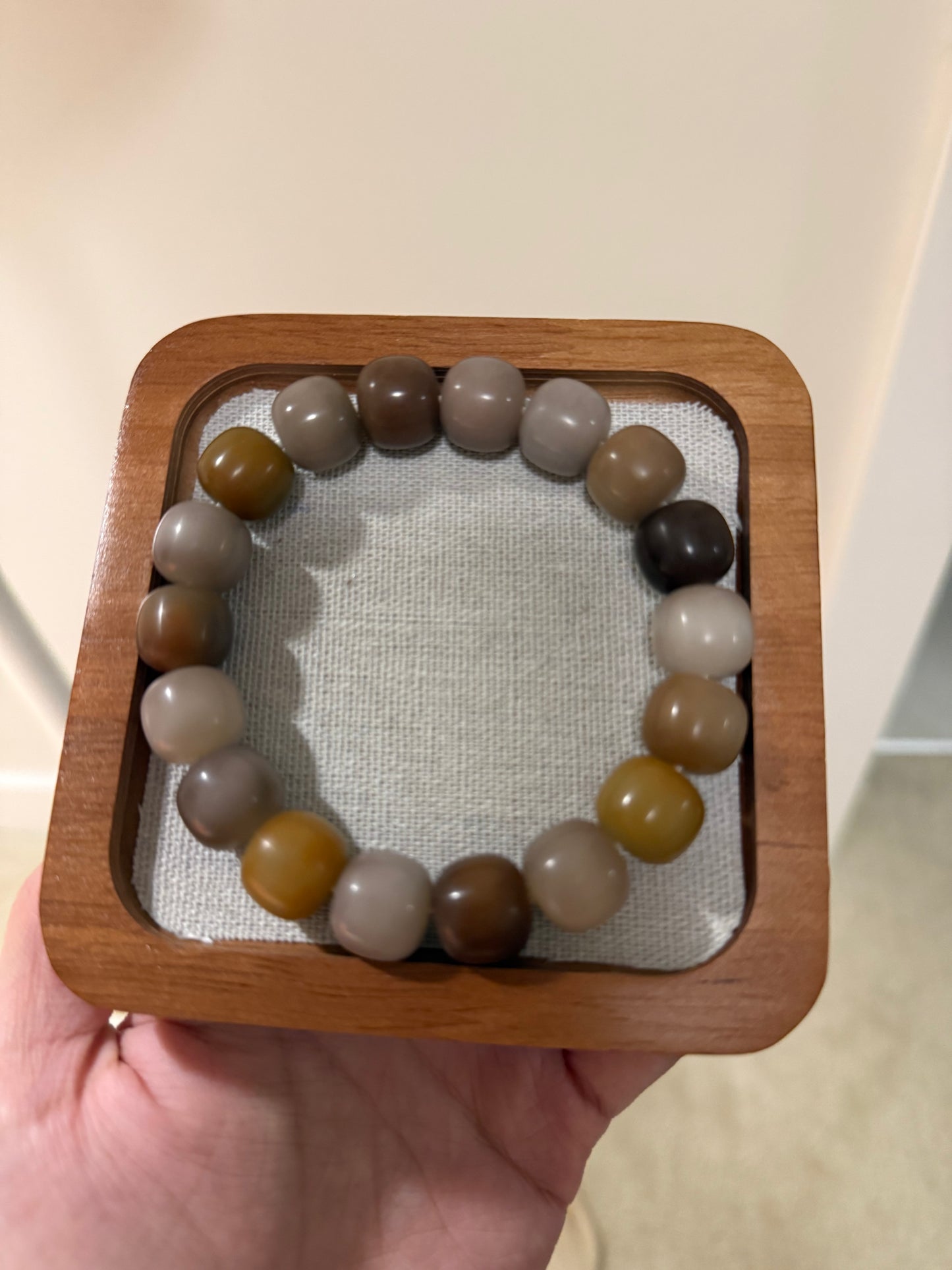 🌾 Morning Stone — Earth-Toned Bodhi Root Bracelet (Hand-Polished Dry Finish, 14mm)