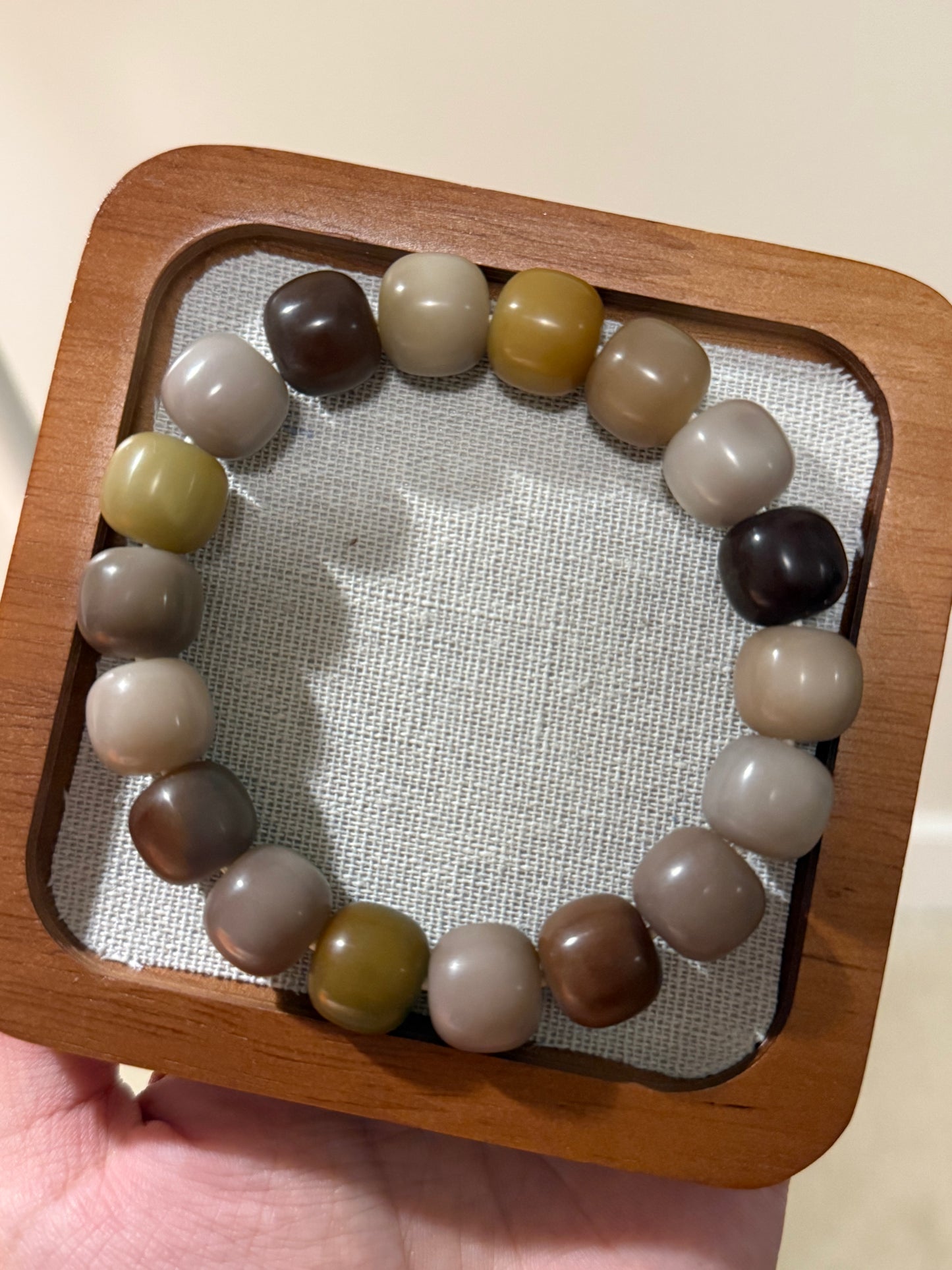 🌾 Morning Stone — Earth-Toned Bodhi Root Bracelet (Hand-Polished Dry Finish, 14mm)