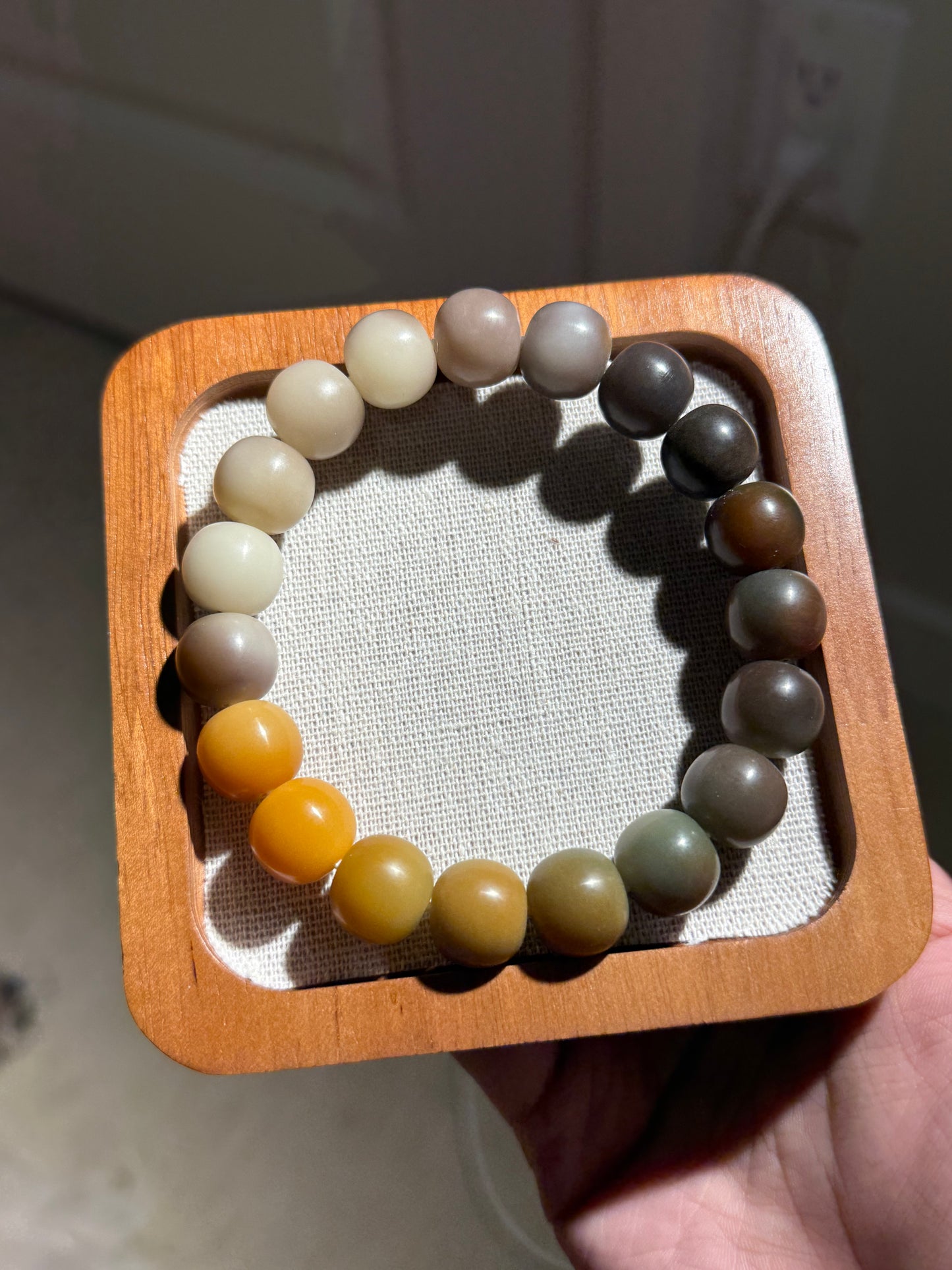 🍂 Forest Ember — Gradient Bodhi Root Bracelet (Hand-Polished Dry Finish, 14mm)