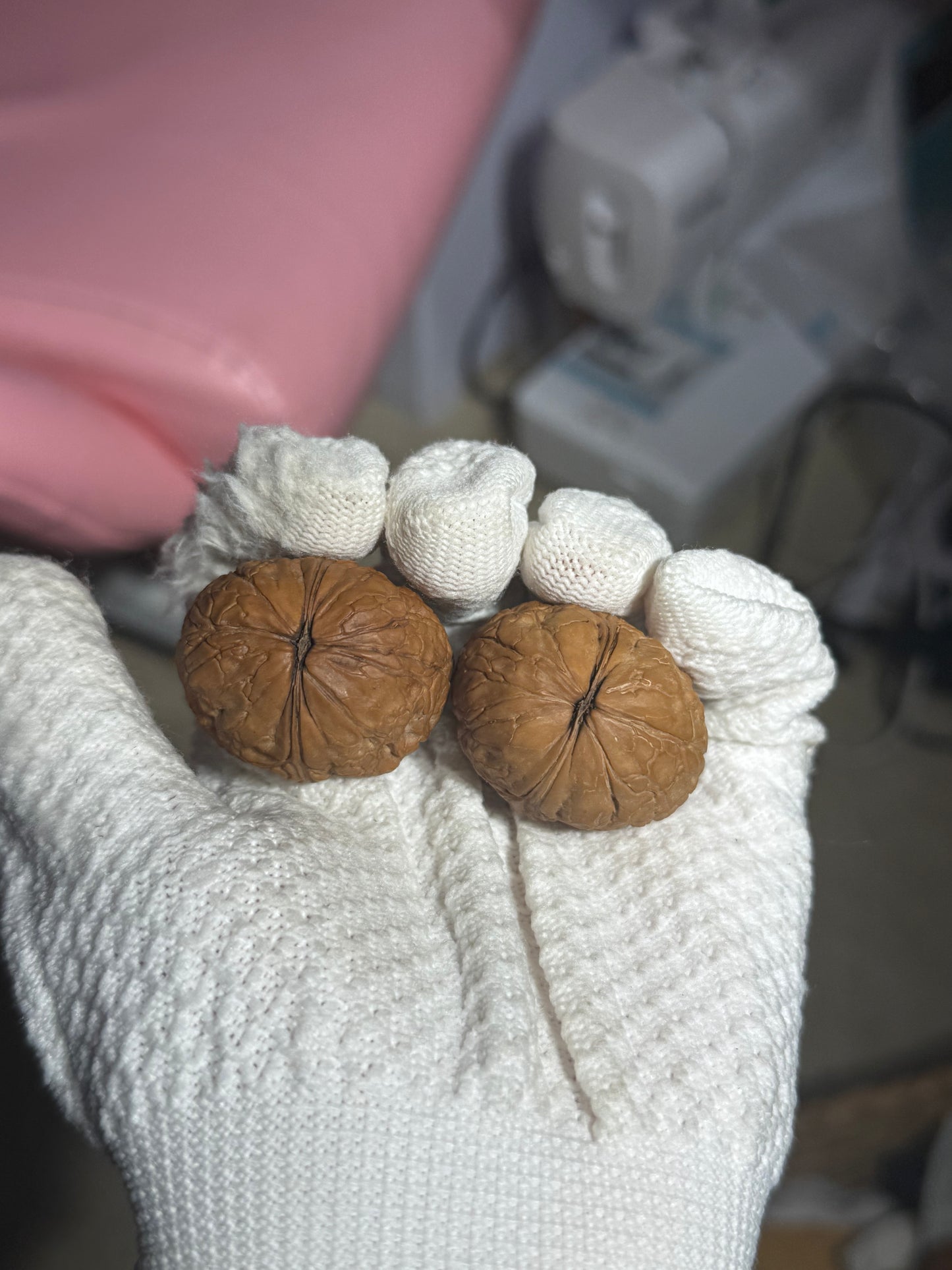 铁核桃 | Iron Walnut Pair