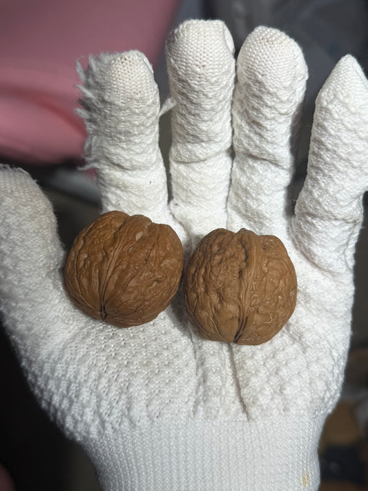 Premium Collector-Grade Walnut Pair