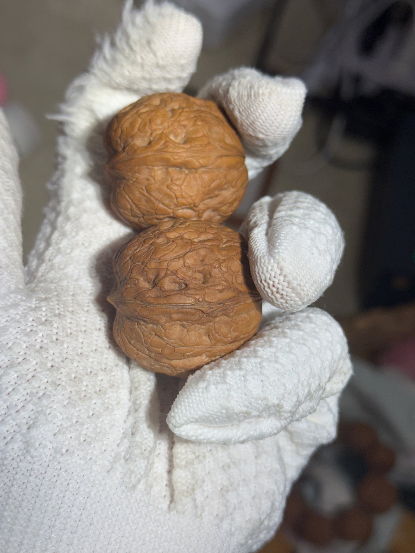 铁核桃 | Iron Walnut Pair